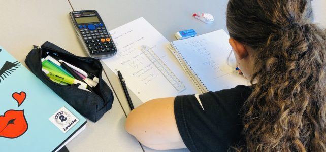 Studio assistito in Matematica per le scuole medie